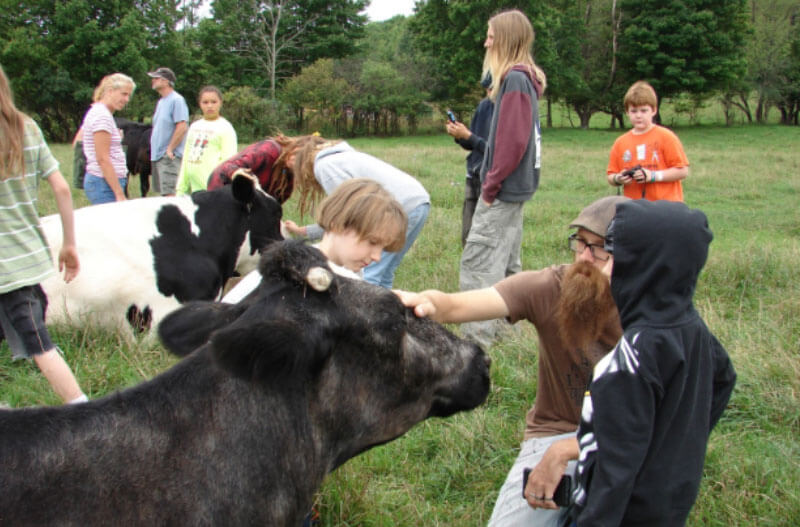 Farm Sanctuary – Trang trại dành cho những người yêu động vật.