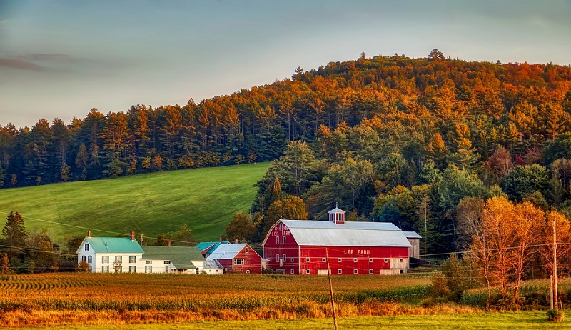 Mùa thu ở New Hampshire được mệnh danh là “bức tranh âm thanh thuần khiết nhất thế giới”.
