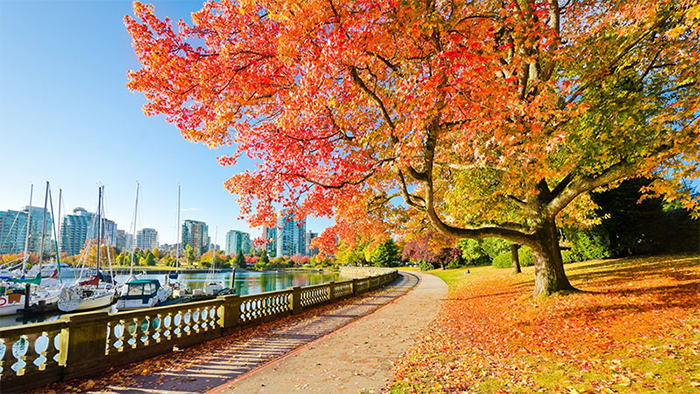 Cảnh sắc thơ mộng và hữu tình của mùa thu Canada