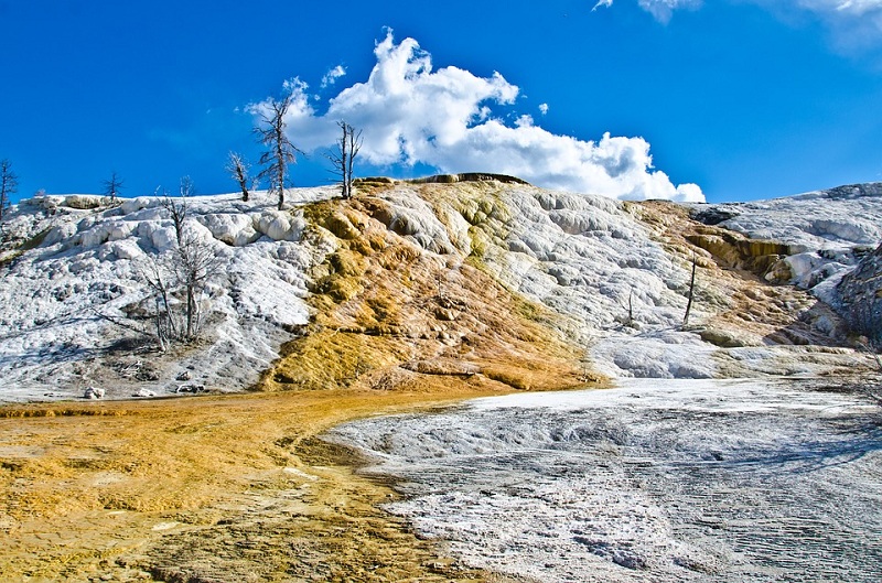 Suối nước nóng Mammoth có các đỉnh núi băng và các thác nước nóng hạ thấp đổ xô tạo thành các bậc thang.