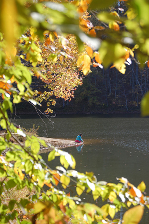 Hồ Ogle thấp thoáng mùa thu vàng.