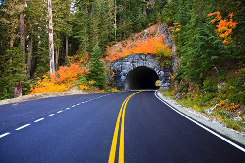 Lái xe là cách tốt nhất để thấy được tất cả vẻ đẹp của Thiên nhiên tại Vườn quốc gia Mount Rainier.