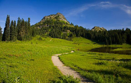 Những con đường mòn ở đây sẽ đưa bạn đến với thiên nhiên vô tận tại Vườn quốc gia Mount Rainier.