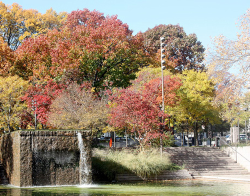 Mùa thu nước Mỹ nhìn từ bờ sông.