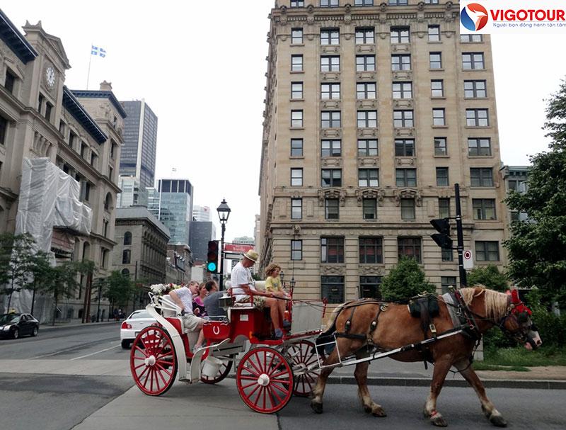 Thưởng ngoạn Montreal bằng xe ngựa