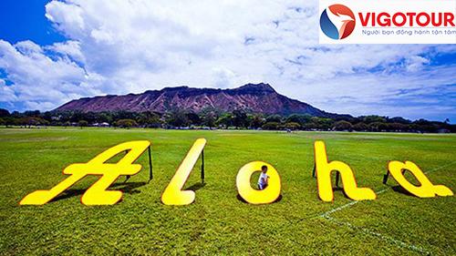 Chào mừng ban Aloha.