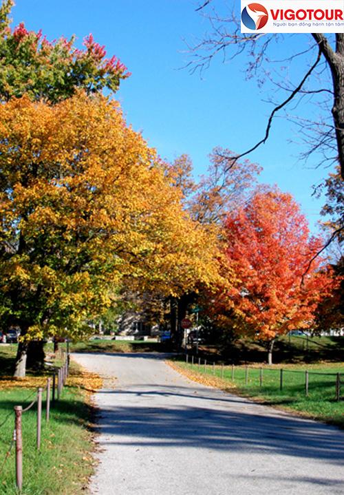 Khung cảnh mùa thu trong khuôn viên Đại học Indiana, Bloomington, Indiana.