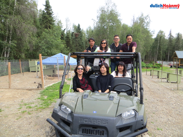 Đoàn DL Vigotour tại trại chó tuyết Husky, Alaska (07/2014)