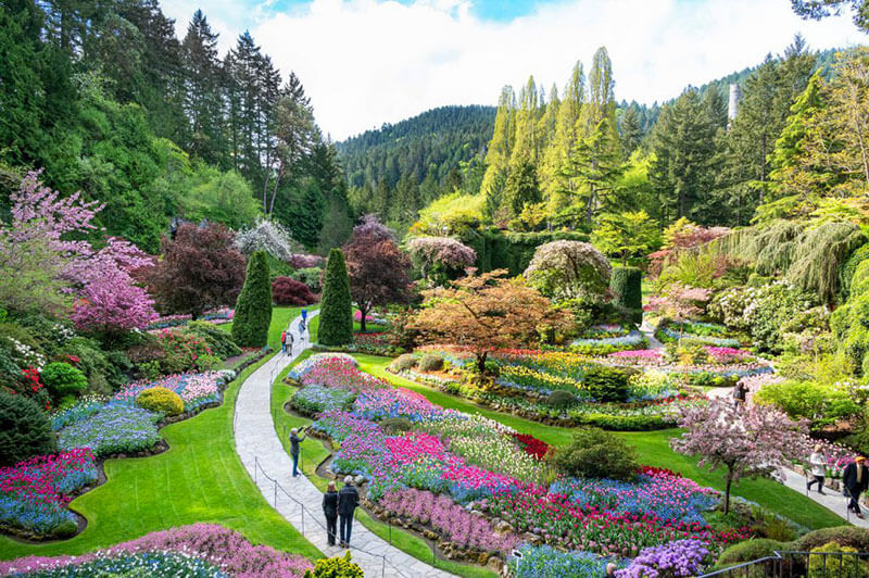 Vườn hoa Butchart Canada được xây dựng theo mô hình vườn Nhật Bản và vườn Ý độc đáo