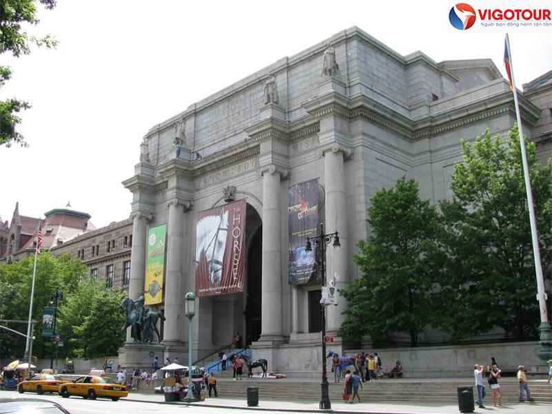 Bảo tàng Lịch sử Tự nhiên – Khám phá “kho báu của New York”.