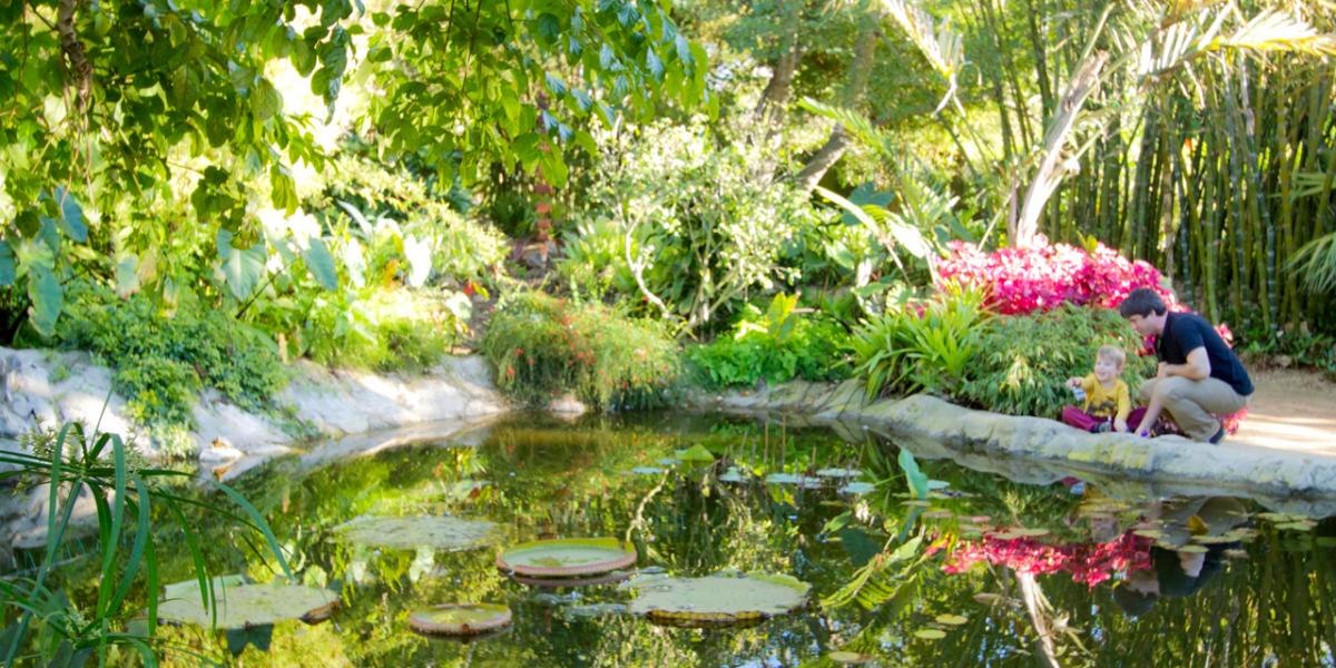 Vườn bách thảo San Diego