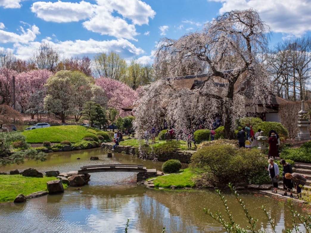 mùa xuân ở Philadelphia