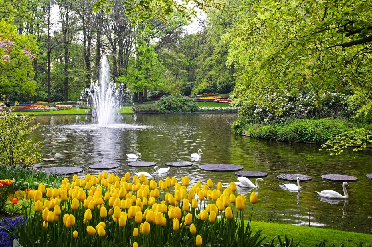 vườn hoa Keukenhof