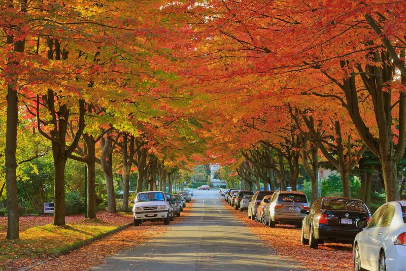 mùa thu ở Canada