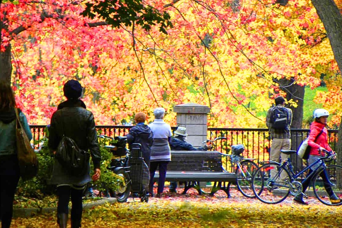 Mùa thu ở Montreal