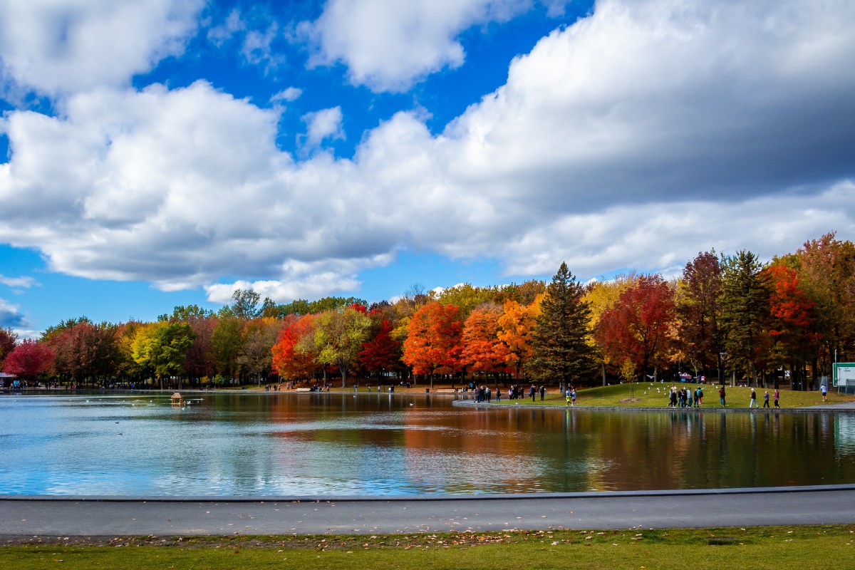 thành phố Montreal vào mùa thu