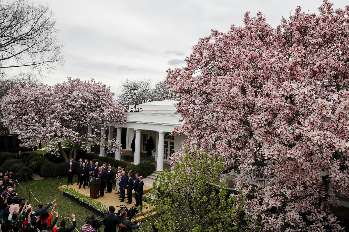 Du lịch Washington D.C. mùa xuân