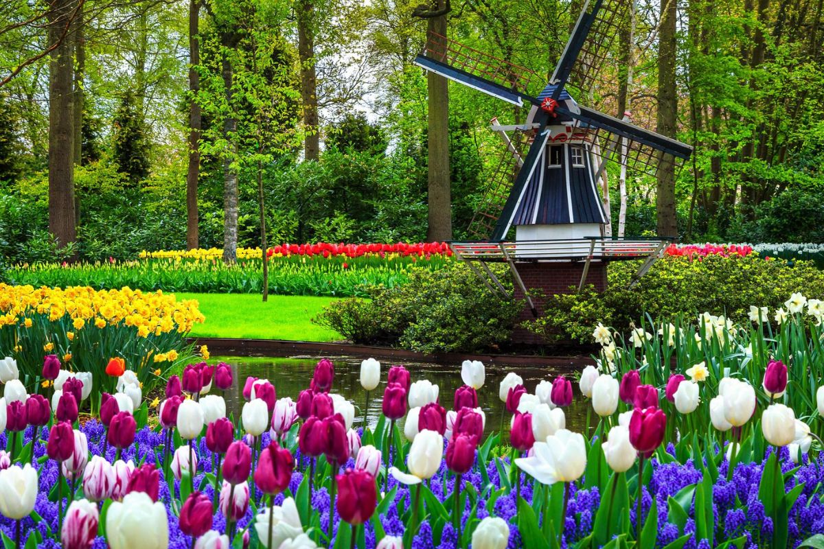 cong-vien-keukenhof-ha-lan