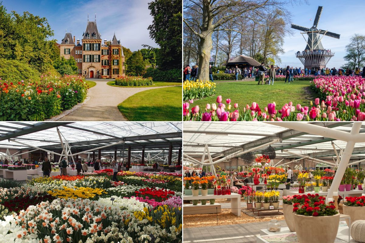 Kinh nghiệm tham quan Keukenhof
