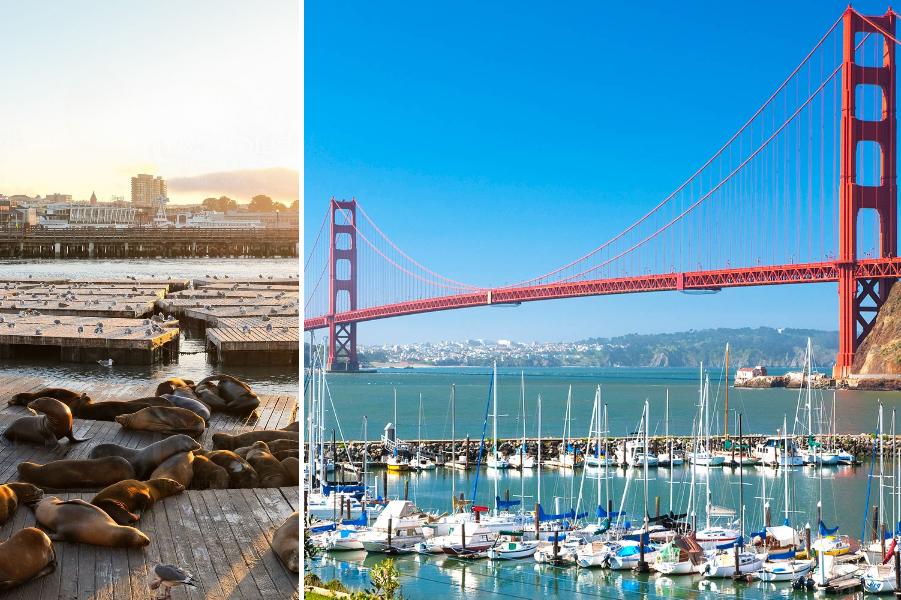 thành phố Mỹ đón năm mới