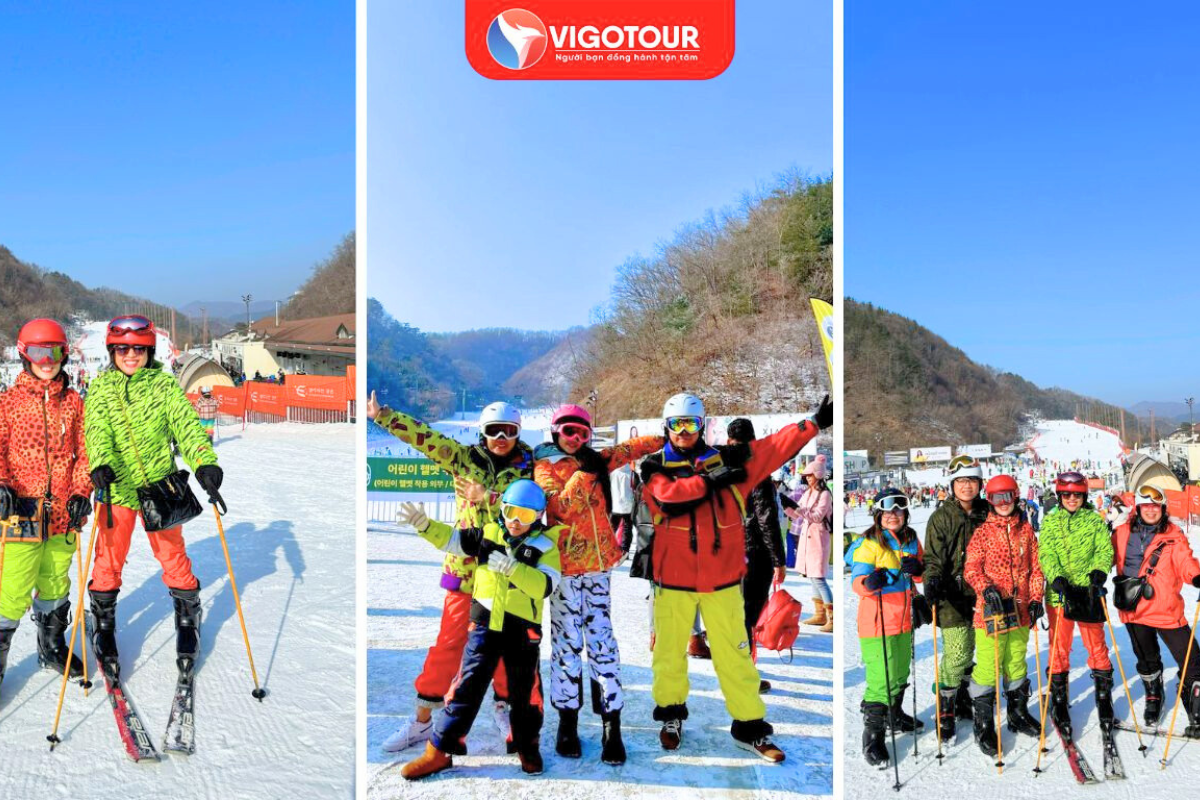 Săn tuyết Hàn Quốc Săn tuyết Hàn Quốc