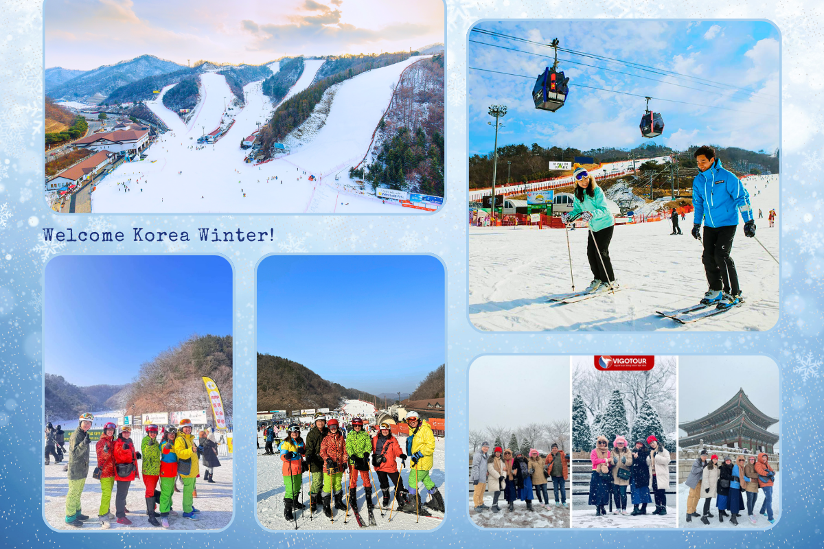 tour săn tuyết châu Á tour săn tuyết châu Á