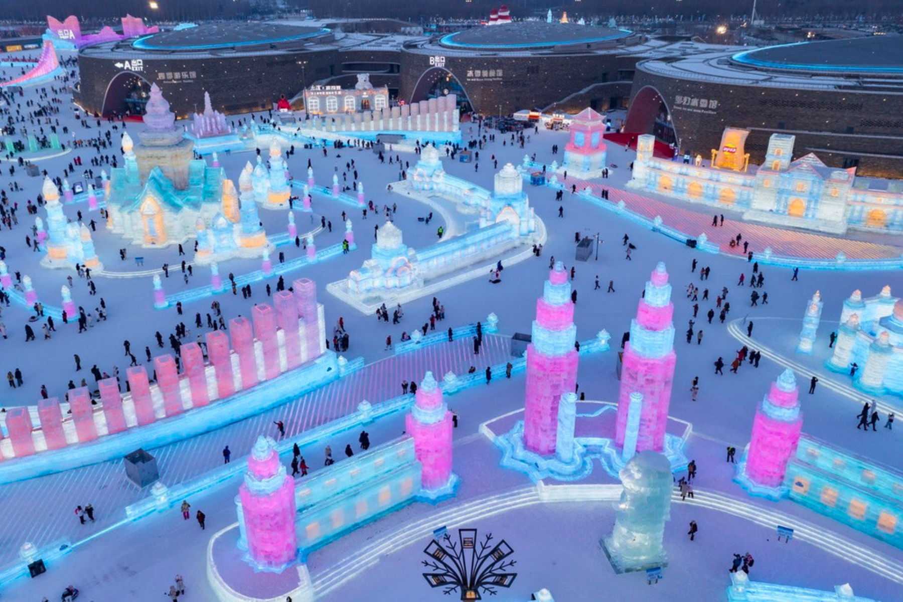 săn tuyết cùng Vigotour săn tuyết cùng Vigotour