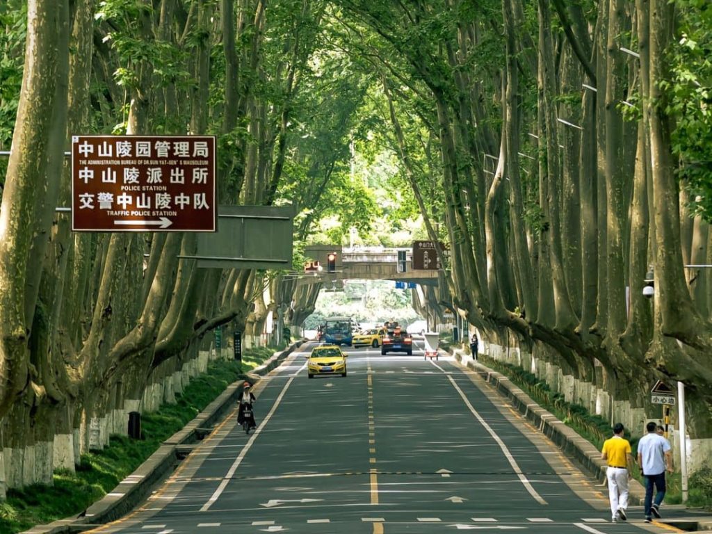 du lịch ô trấn