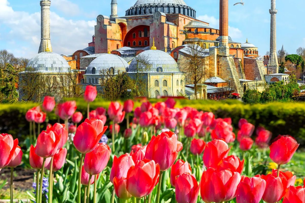 Quốc Hoa Thổ Nhĩ Kỳ