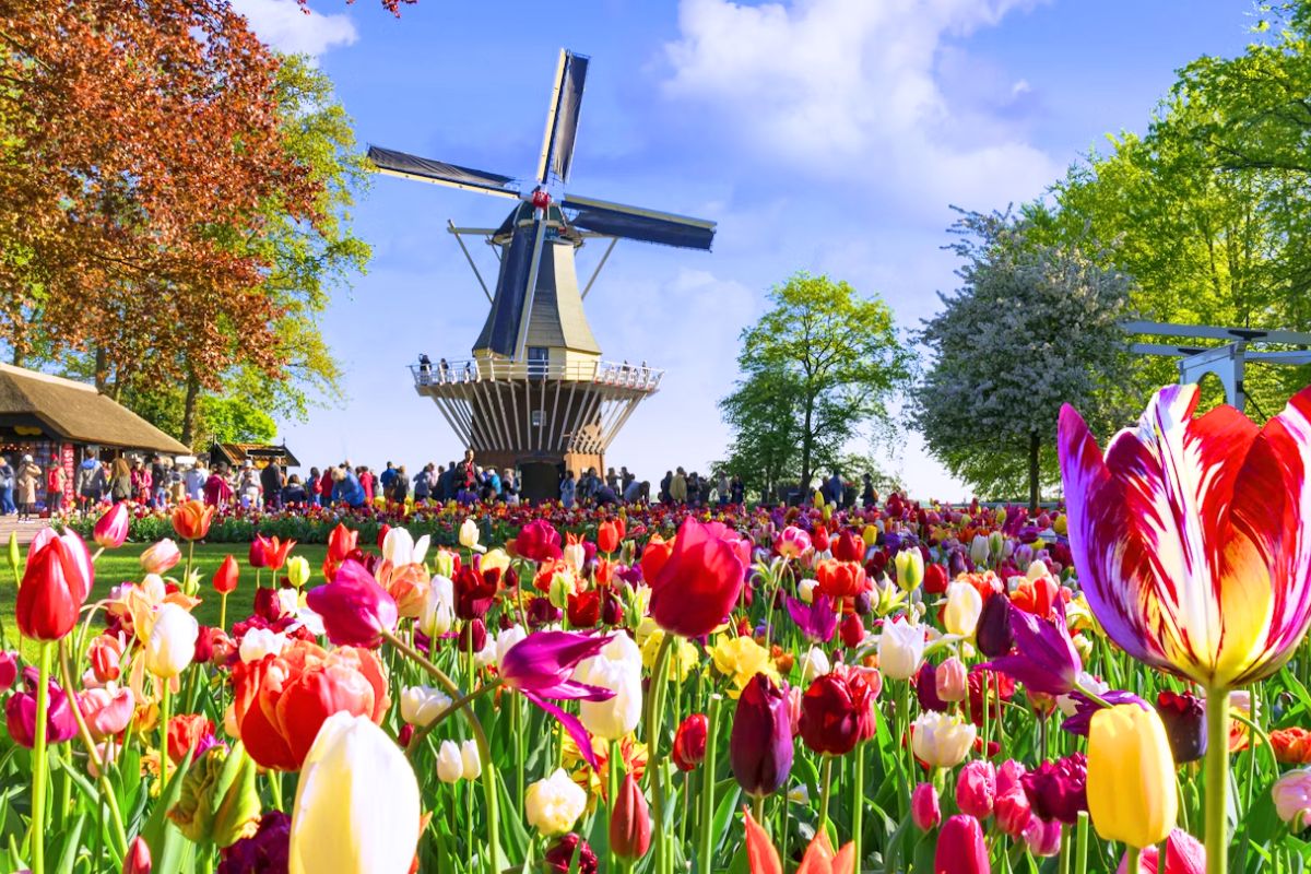 Quốc Hoa Thổ Nhĩ Kỳ