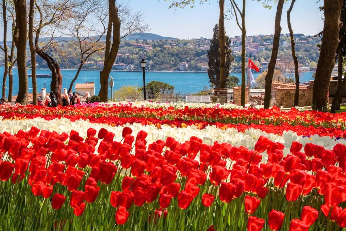 Mùa tulip Thổ Nhĩ Kỳ