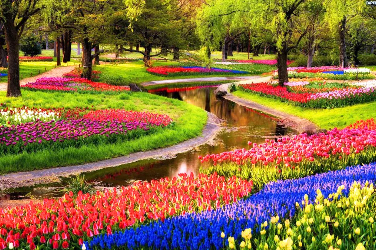 Mùa tulip Thổ Nhĩ Kỳ