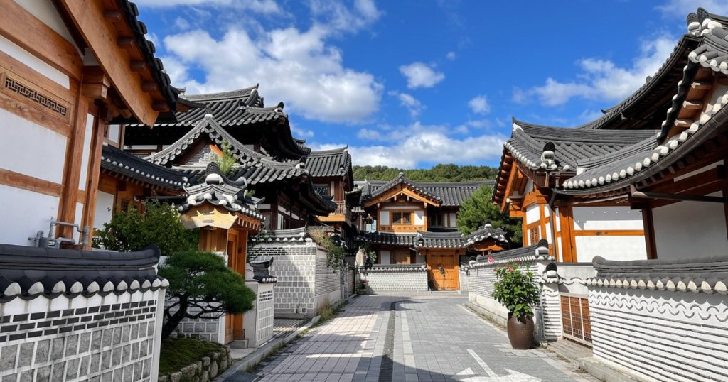 hàn quốc hoa anh đào hàn quốc hoa anh đào