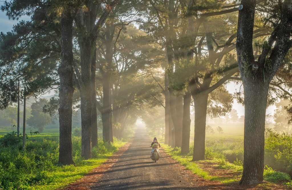tây nguyên măng đen