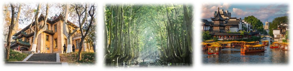 thượng hải nam kinh thượng hải nam kinh