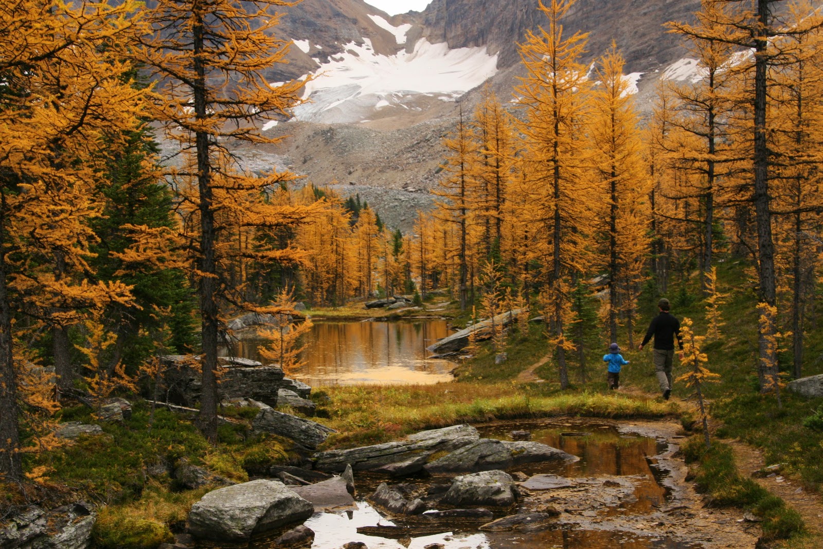 Rocky Mountains (Alberta):