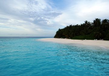 Bãi biển Fihalhohi với cát trắng và hàng dừa ở Maldives