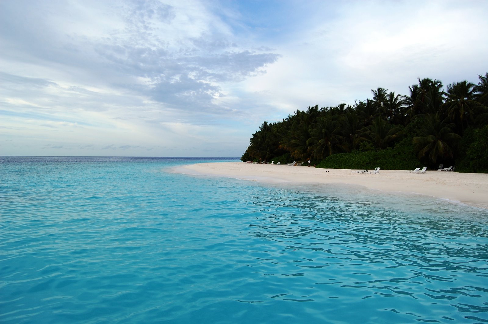 Bãi biển Fihalhohi với cát trắng và hàng dừa ở Maldives
