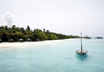 Bãi biển và hàng dừa tại Maldives