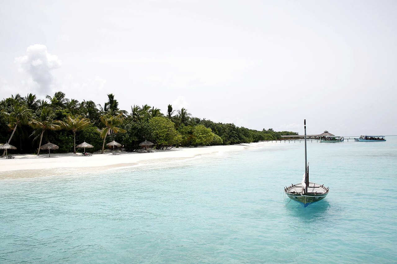 Bãi biển và hàng dừa tại Maldives